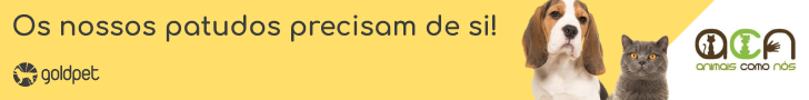 Animais Como Nós